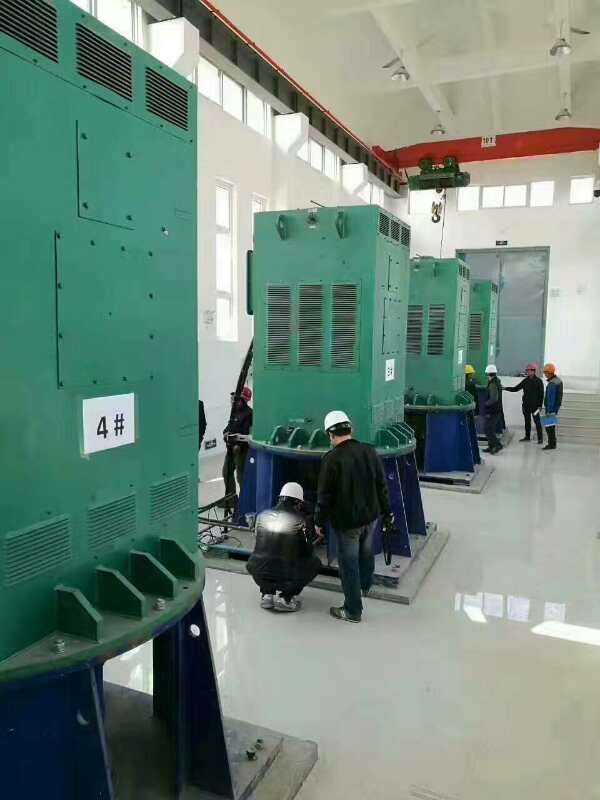 杭锦后某污水处理厂使用我厂的立式高压电机安装现场