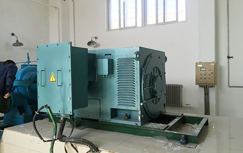 杭锦后某水电站工程主水泵使用我公司高压电机